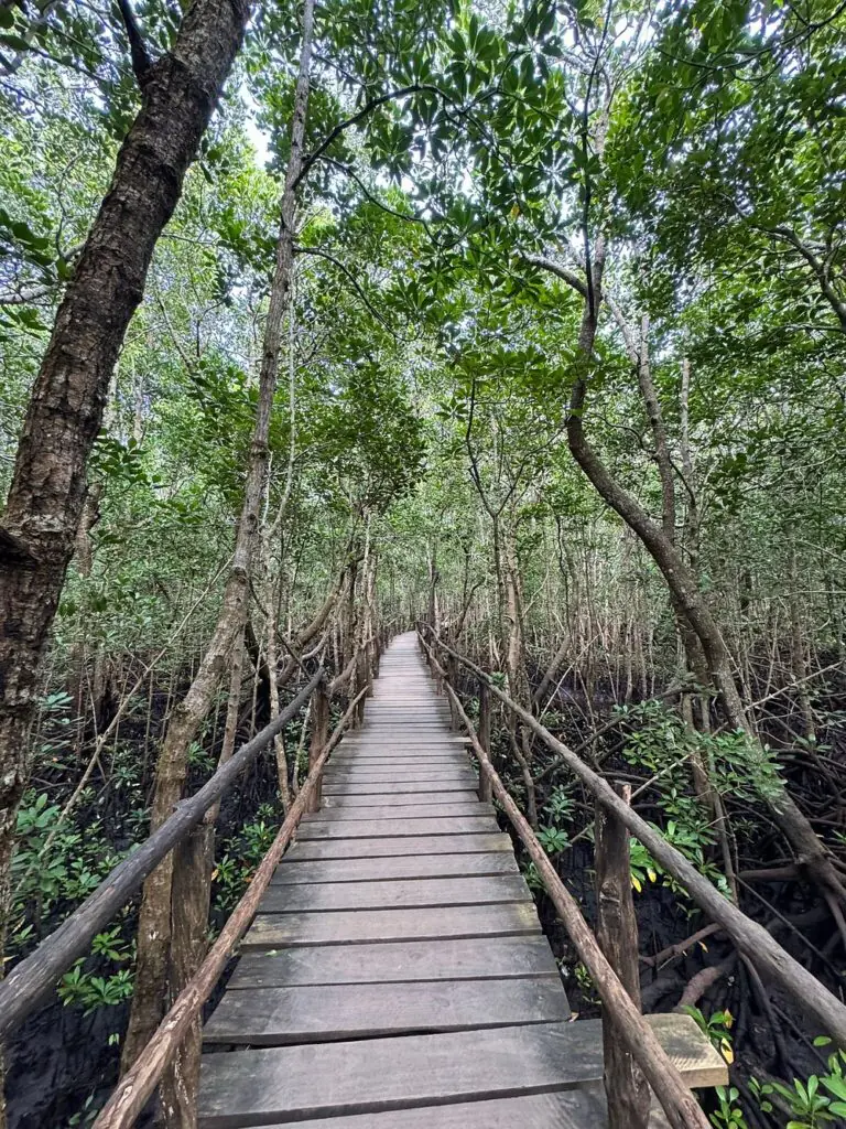 Jozani Forest Tour Zanzibar