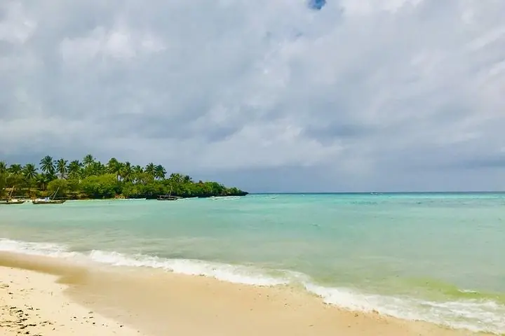 Kizimkazi Dolphin Tour Zanzibar