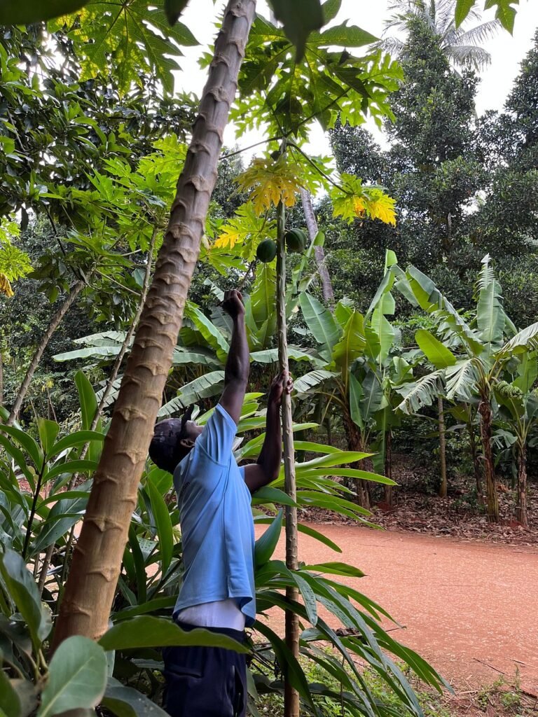 Zanzibar Spice Island Tour