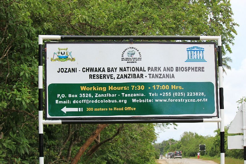 Jozani Forest Tour Zanzibar