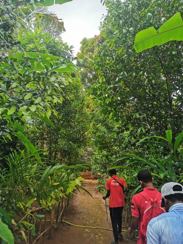 Zanzibar Spice Island Tour