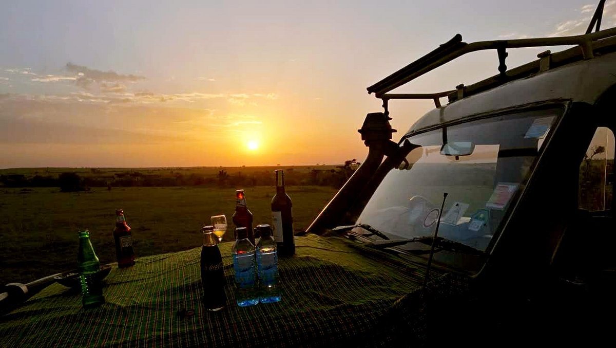 Kenya Safari ANNEST KENYA SAFARIS