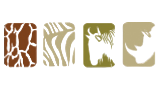 Kenya Safari Lodges and Tented Camps ANNEST KENYA SAFARIS