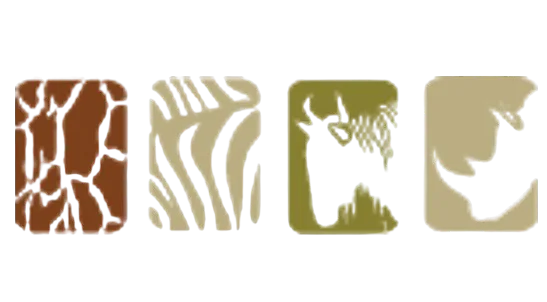 Kenya Safari Lodges and Tented Camps ANNEST KENYA SAFARIS