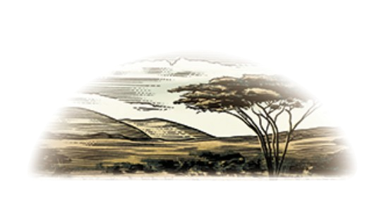 Kenya Safari Lodges and Tented Camps ANNEST KENYA SAFARIS