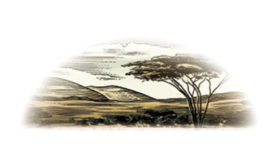 Kenya Safari Lodges and Tented Camps ANNEST KENYA SAFARIS