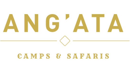 Kenya Safari Lodges and Tented Camps ANNEST KENYA SAFARIS