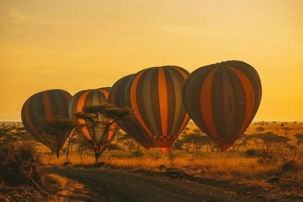 Kenya Safari ANNEST KENYA SAFARIS