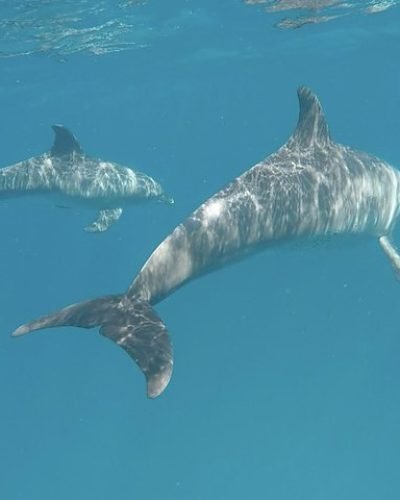 Zanzibar beach vacation