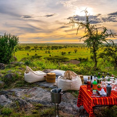 Annest Kenya safaris