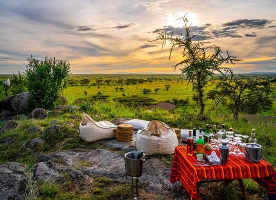 Annest Kenya safaris