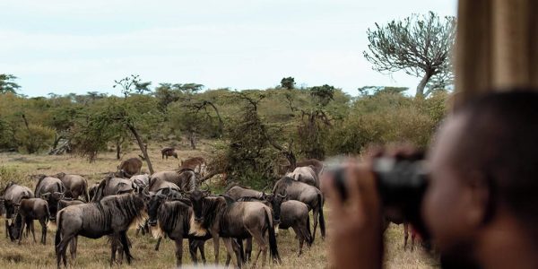 Luxury Safari in Kenya