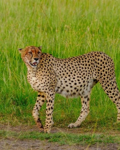 546459157_1104498088476518_1906549513181661053_n