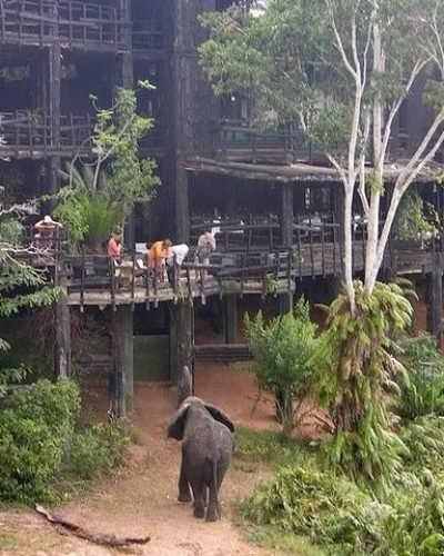 Shimba Hills National Reserve Day Tour