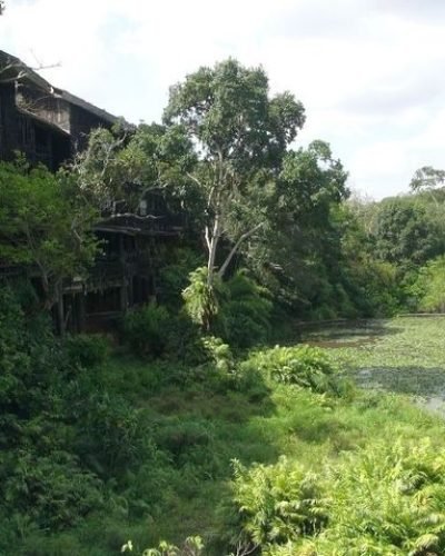 Shimba Hills National Reserve Day Tour