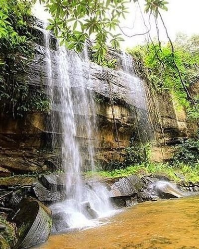 Shimba Hills National Reserve Day Tour
