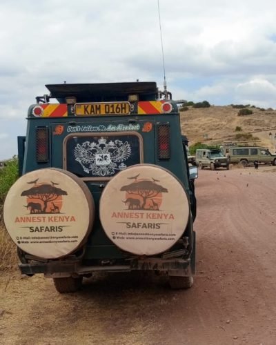Annest Kenya safaris from Nairobi