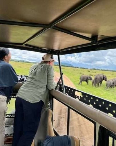 ANNEST KENYA SAFARIS