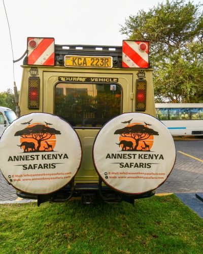 Kenya safari packages