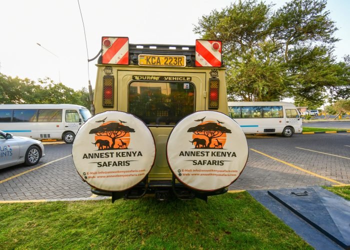 DSC_0318 Kenya safari packages