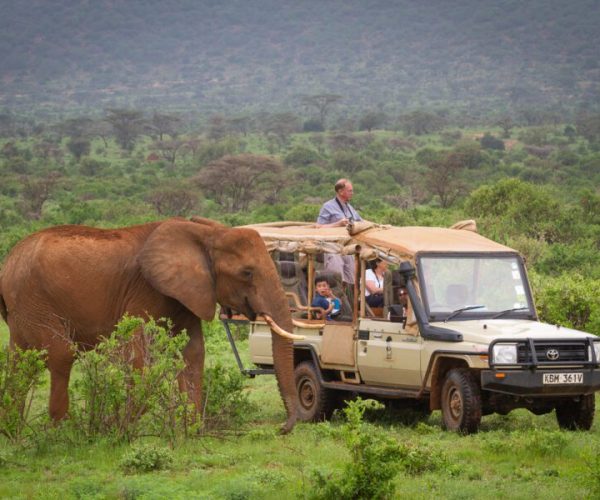 Elephant-Bedroom-Camp-Samburu-45-.jpg