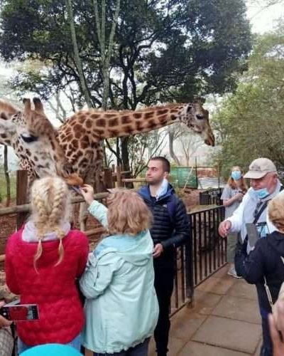 Giraffe-Centre-Nairobi-Things-to-do-in-Nairobi-Kenya-5-scaled-1.jpeg