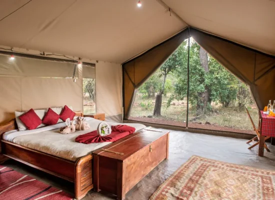 customized Africa safaris