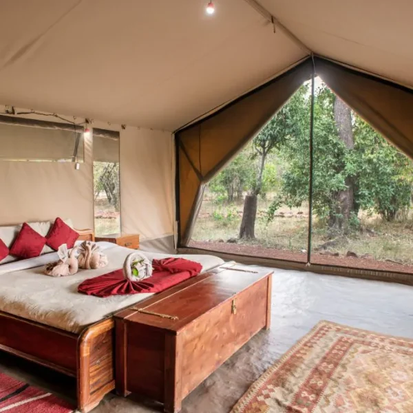 customized Africa safaris