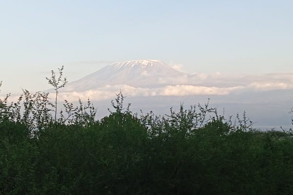 AMBOSELI NATIONAL PARK