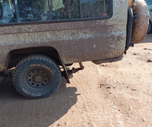 Annest Kenya safaris