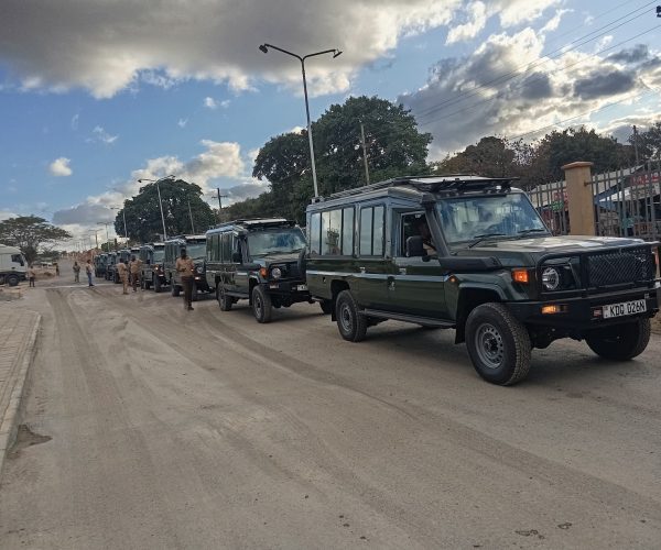 4*4 SAFARI JEEP