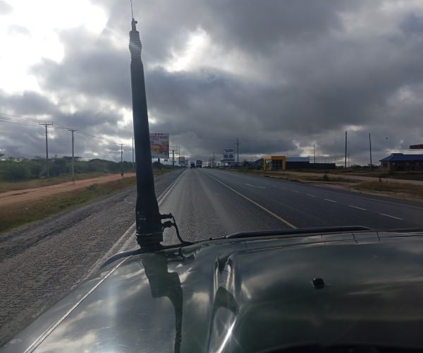 customized Africa safaris