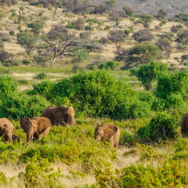 Kenya