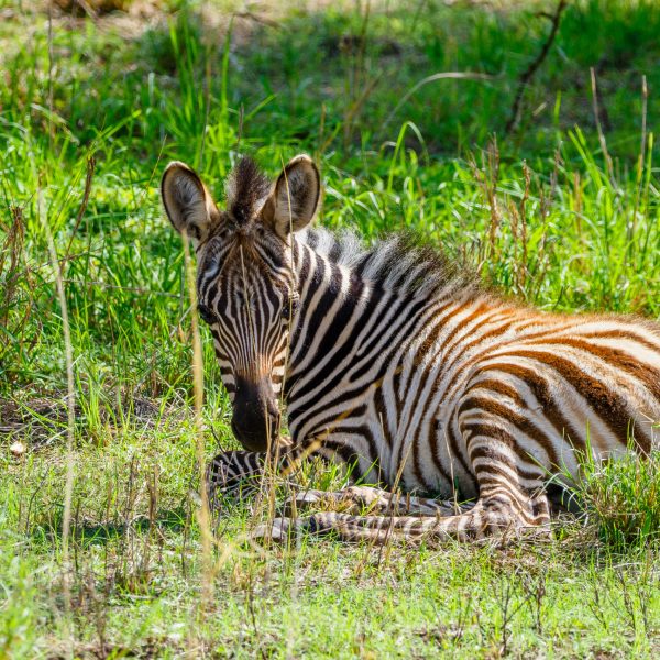 Nakuru Kenya