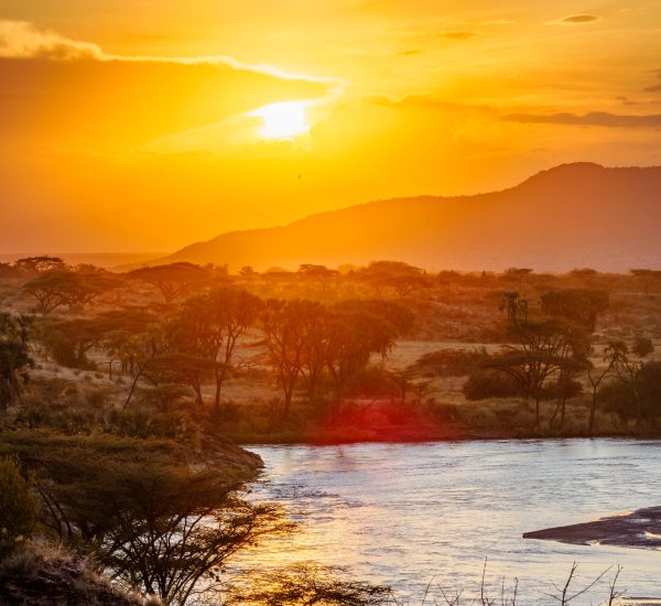 safari from Nairobi