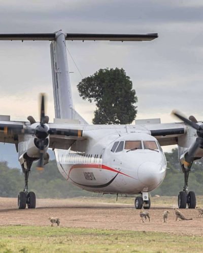 Kenya fly-in safaris