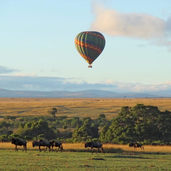 Hot air balloon safari with Annest Kenya safaris