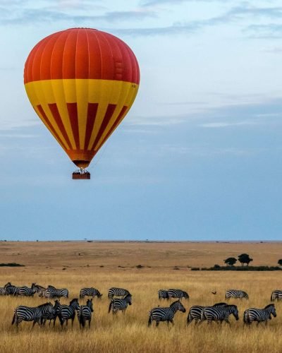GrEAT MIGRATION SAFARI IN MASAI MARA WITH ANNEST KENYASAFARIS