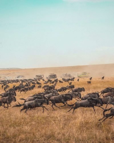 Masai-Mara-National-Park-Kenya-safaris-3-scaled-1.jpg