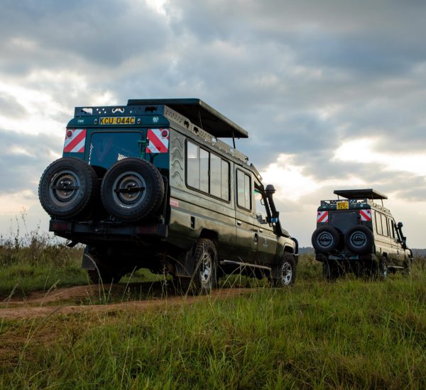5-day Kenya safari Jeep