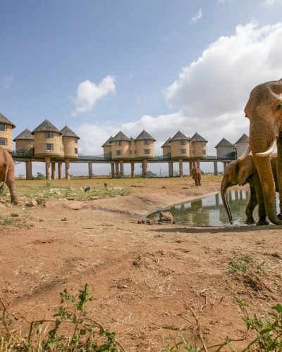 Tsavo East and Tsavo West safari