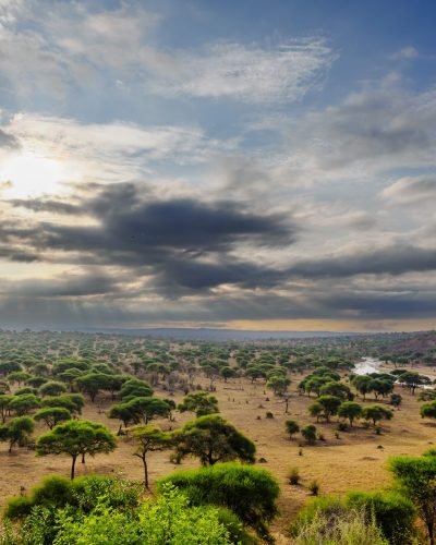 Tsavo National park safaris