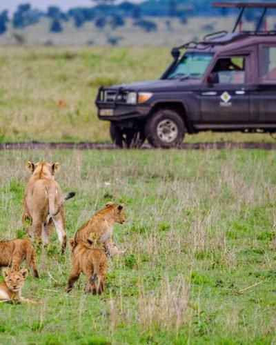 Serengeti National Park Safari