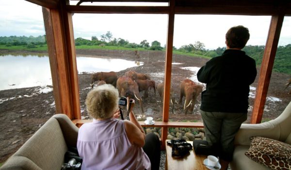 Family safari with Annest Kenya safaris