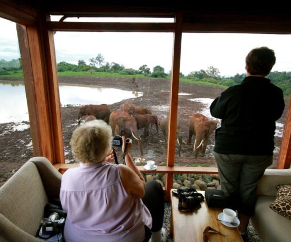 Family safari with Annest Kenya safaris