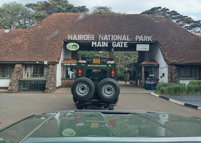 Nairobi Excursions Nairobi National Park and City Tour