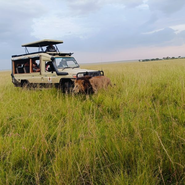 safari from Nairobi