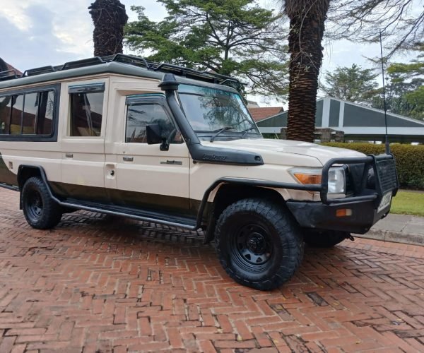 4*4 SAFARI JEEP