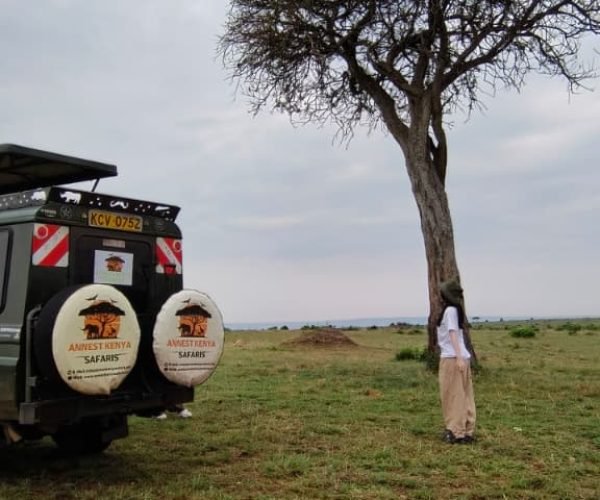 Kenya safari vehicles ANNEST KENYA SAFARIS
