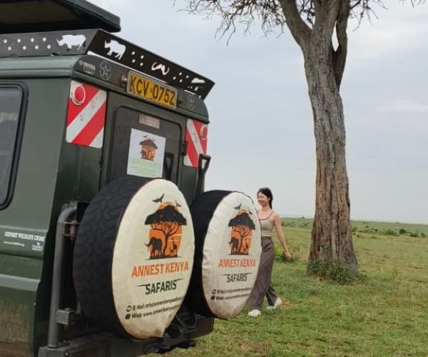 Kenya safari vehicles ANNEST KENYA SAFARIS